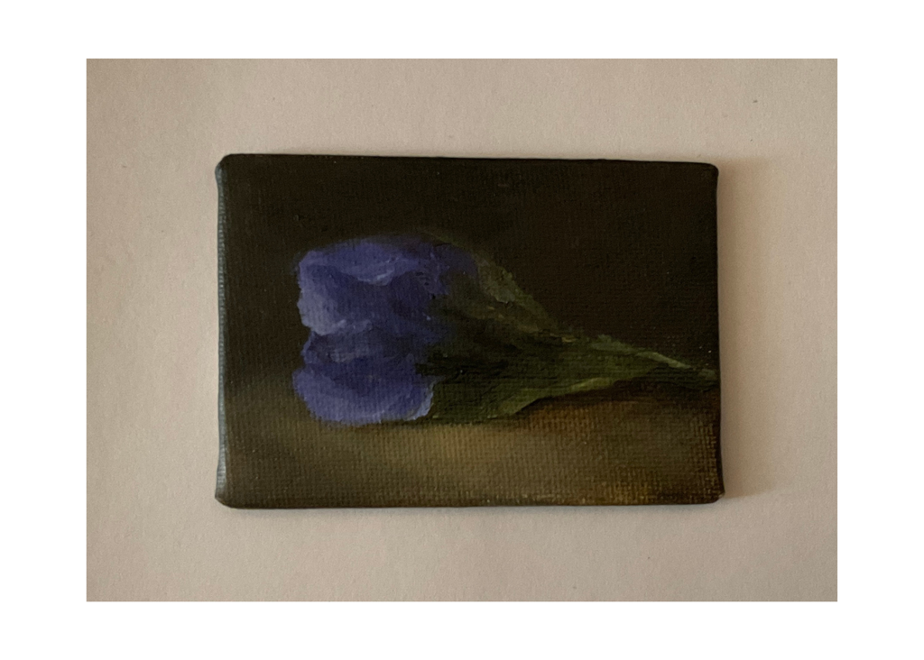 Miniature oil painting of irises with a dark background.