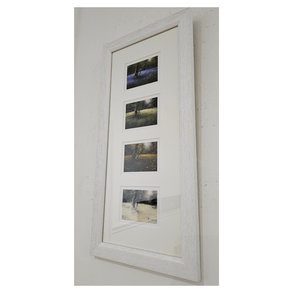 Framed Giclée Prints from original oil paintings by Judith Levin capturing a woodland scene across the seasons.