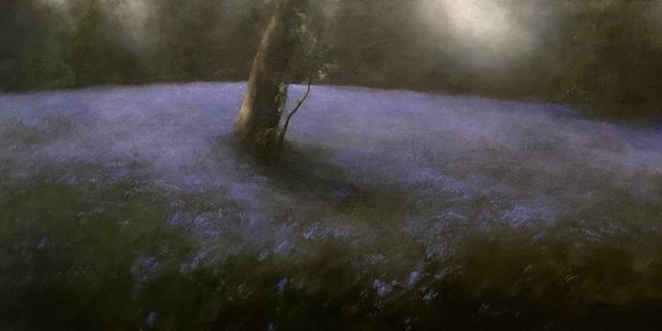 Oil painting by Judith Levin of a woodland landscape, featuring bluebells in the Spring and a soft light.