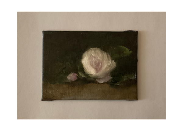 Miniature oil painting of a secret parfuma rose with a dark background.